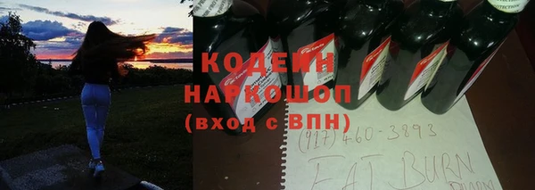 молекула духа Бронницы