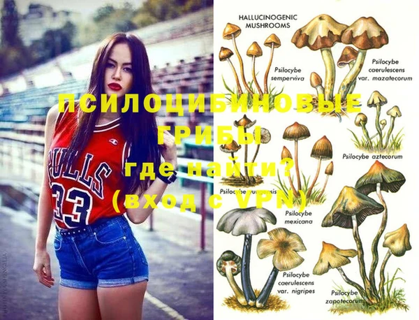 не бодяженный Богородск