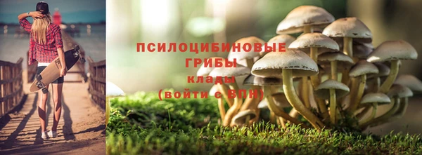 бутират Богданович