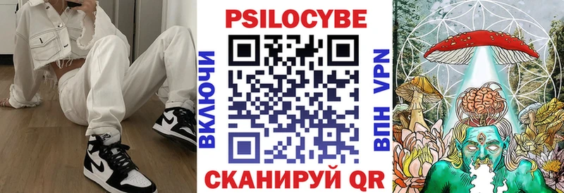 Псилоцибиновые грибы Psilocybe  Вуктыл 